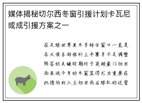 媒体揭秘切尔西冬窗引援计划卡瓦尼或成引援方案之一